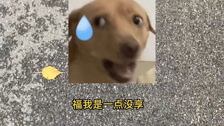 I haven’t enjoyed a single bit of good fortune, but I’ve suffered every bit of misfortune.