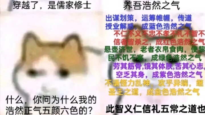 磁场多元宇宙•多彩猫龙