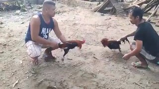 For february 4 ❤️😎 Tatak Salcedo