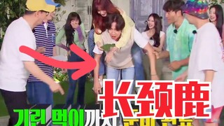 أضحكني حتى الموت! لي غوانغسو يحقق حلمه مع سونغ يو تشي بركوب "زرافة"! حقق ذلك فعلًا!