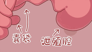 婚后变渣鸭？母鸭还有一招“杀手锏”！