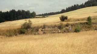 [Aesthetic Accumulation] Czech film master Elie Manzo's romantic idyll, light, shadow and color ~