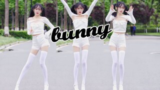 电动马达小兔兔  ♫Bunny【试跳】