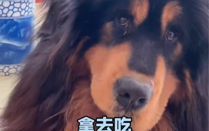 A Day of Struggling for Every Bite