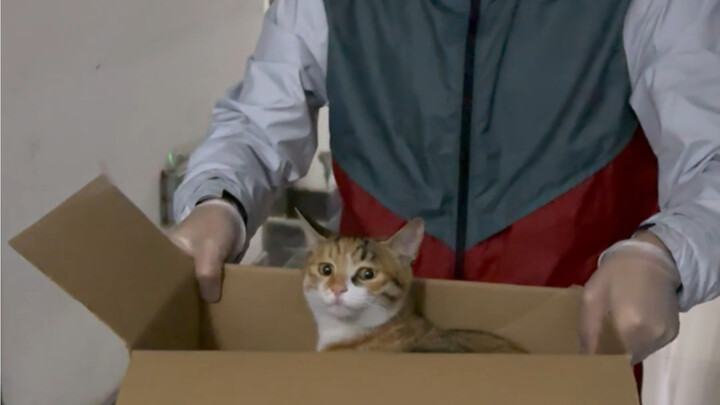 Đưa chị khóa trên ra khỏi ký túc xá