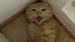 An old man ran into the house