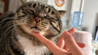 Làm việc trong lĩnh vực của bạn là công việc đòi hỏi sức trẻ!