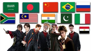 Harry Potter in Different Language Meme