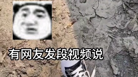 Tổng hợp những bình luận bá đạo của cư dân mạng