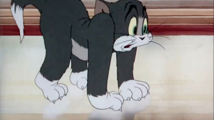 打保龄球的小猫咪
