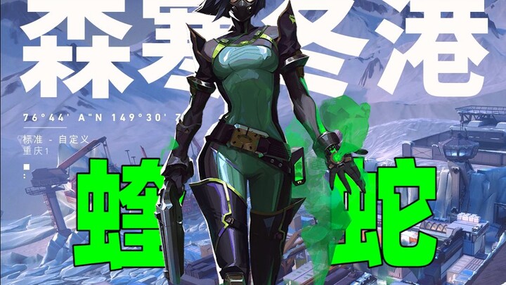 [Valorant] Sen's Winterhaven Viper Item Guide!