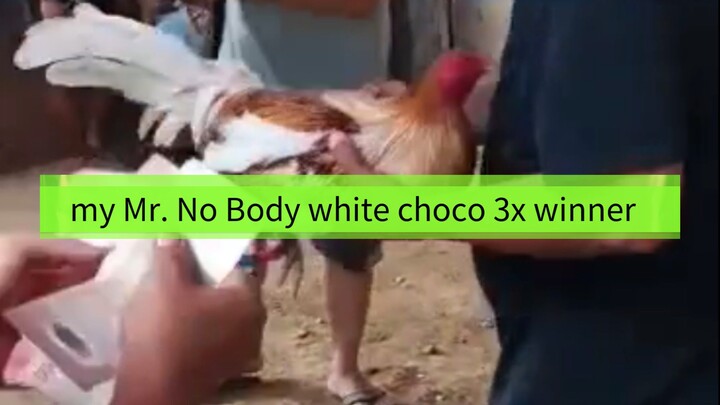 My Mr. No Body White Choco 3X Winner