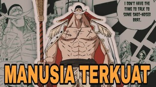 ORANG YANG TIDAK TERTARIK DENGAN ONE PIECE - ANIME REVIEW