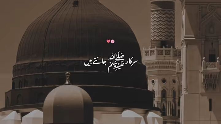 Kya Hal e Dil Sunana Srkar ﷺ Jante Hain 🥺❤️‍🩹🌸🎧 | Naat Aesthetic 🫶 |