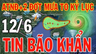 Dự báo thời tiết hôm nay và ngày mai 12/6/2024 | Dự báo thời tiết trong 3 ngày tới