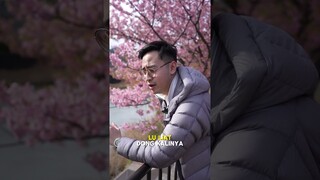 MEDY RENALDY KECEWA DENGAN FESTIVAL SAKURA DI JEPANG! 😡👎