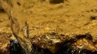 为什么看似温柔的漩涡，却暗藏杀机？