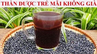 TRÀ ĐẬU ĐEN - THẦN DƯỢC TRẺ MÃI KHÔNG GIÀ - BÍ QUYẾT ĐỂ CÓ MÁI TÓC ĐEN VÀ LÀN DA CĂNG BÓNG