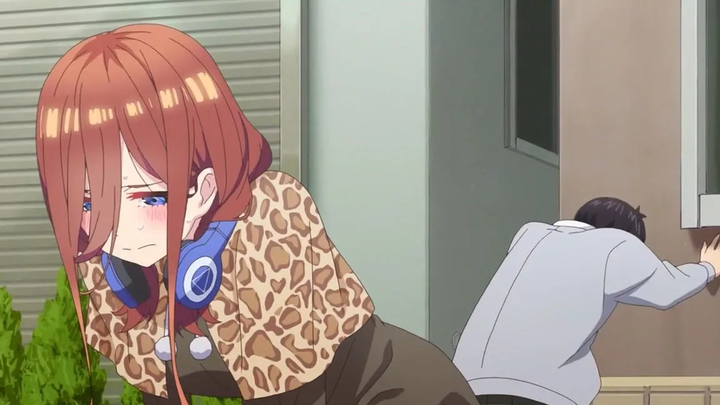 ไปที่ Miku และ Fuutarou อยากค้นหา