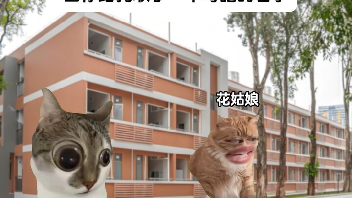 Khi bạn đặt cho chó một cái tên kỳ lạ