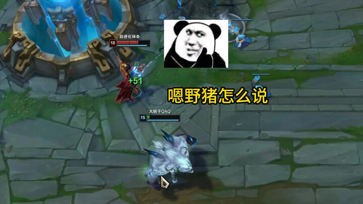 野猪怎么说
