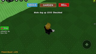 before I was a billionaire in gag aka Grow a garden