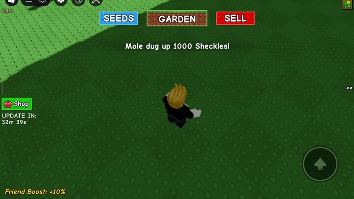 before I was a billionaire in gag aka Grow a garden