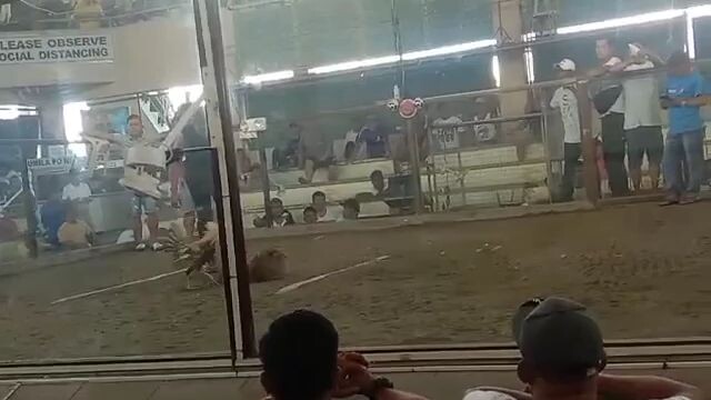 fk