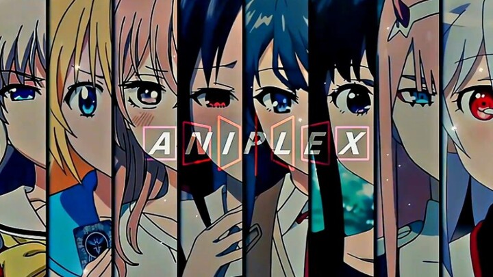 ANIPLEX Where the dream begins