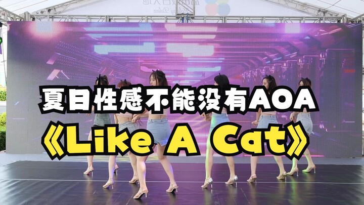 泡泡随舞 | 路演翻跳 | AOA异地登录深圳！Like A Cat超sexy甜辣翻跳