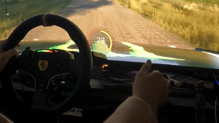 After watching “Full Throttle 2,” my girlfriend hogged my racing simulator.