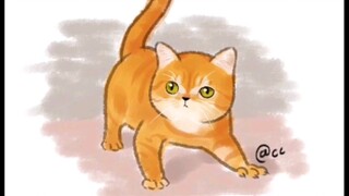 喵桑：女人，尽管呼唤我，我一直都在