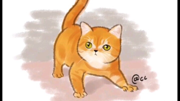 喵桑：女人，尽管呼唤我，我一直都在