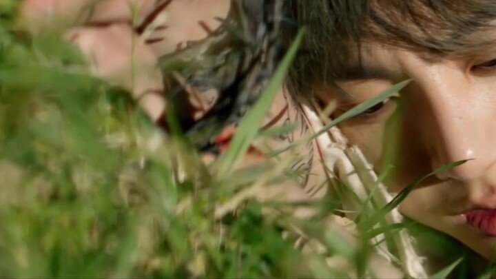 [BTS｜Supreme Me] If I were a flower, a leaf, a spring tree, could I go back to the beginning of the 