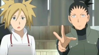 Shikamaru dan Temari hidup seperti cinta