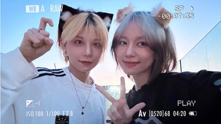 39！猫猫狗狗双胞胎！