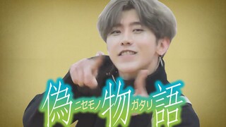 [Chicken Story] Kun Kun's New Song: White Chicken Disco