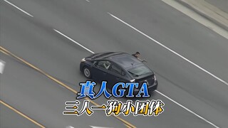 GTA kehidupan nyata, versi sederhana dari tiga orang dan seekor anjing
