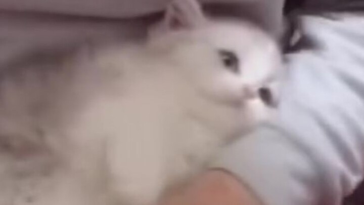 “Can’t get up without a kiss.”