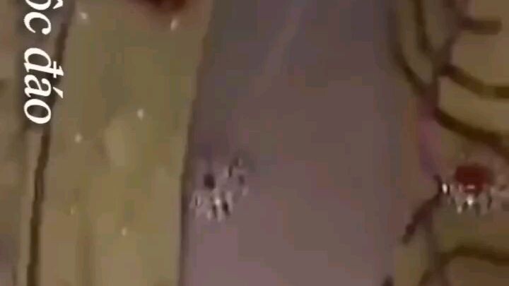 yh bbvvvvvvvg55
