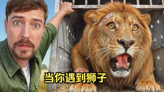 ช่วยชีวิตสัตว์ 1,000 ตัว ภาพอันอบอุ่นขอบคุณทุกคนสำหรับการสนับสนุน!