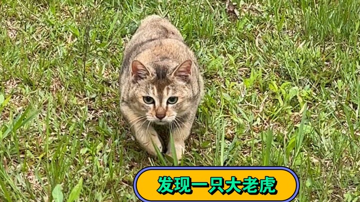 I finally set Sister Mei free today!