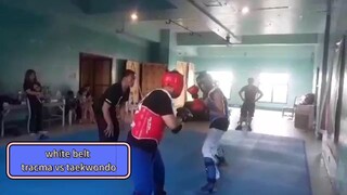 tracma white belt  vs taekwondo sparring