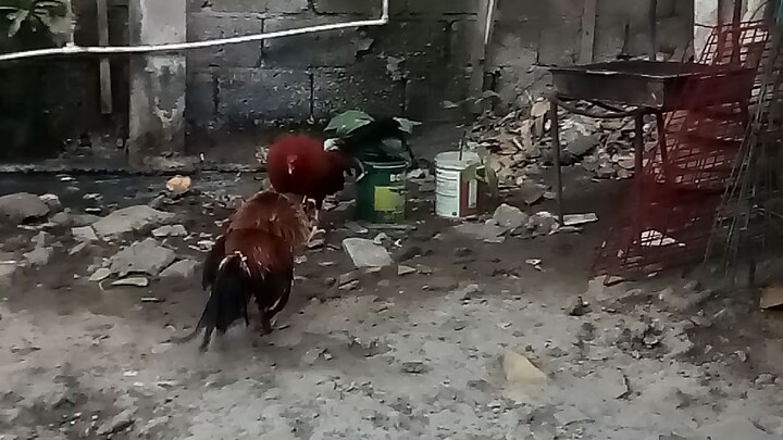 spar muna sla unang bitaw