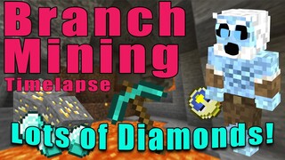 Minecraft | Branch Mining Timelapse | Lots of Diamonds!