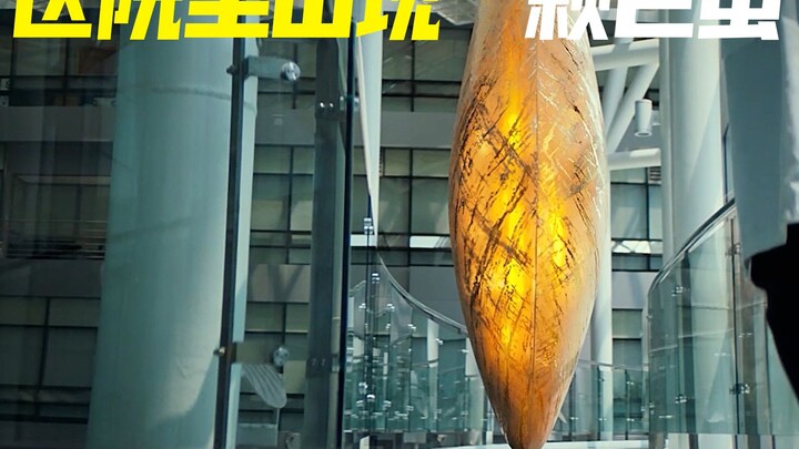 A giant golden egg appears in the hospital, killing everyone inside—short film