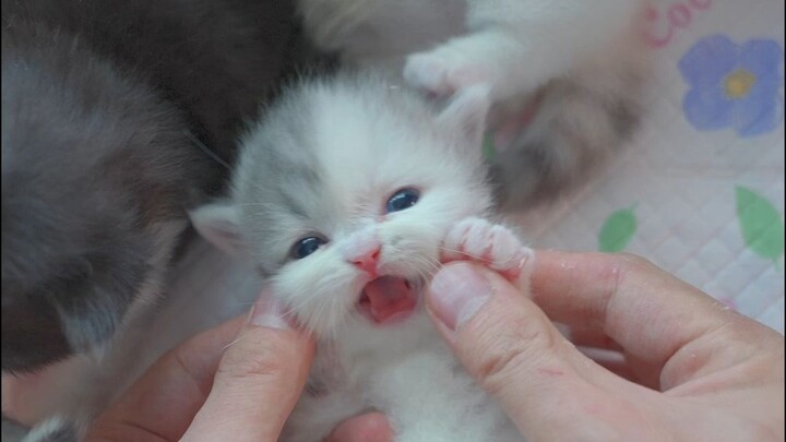 Bentuk kepribadian cuek sejak kecil!