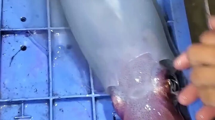 Turned white in an instant