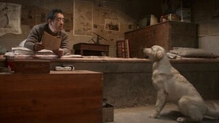 【宇哥】老汉捡回一只能陪人聊天的狗狗，还会拉车！《忠爱无言》