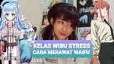 KELAS WIBU STRESS ( MERAWAT WAIFU PART1)